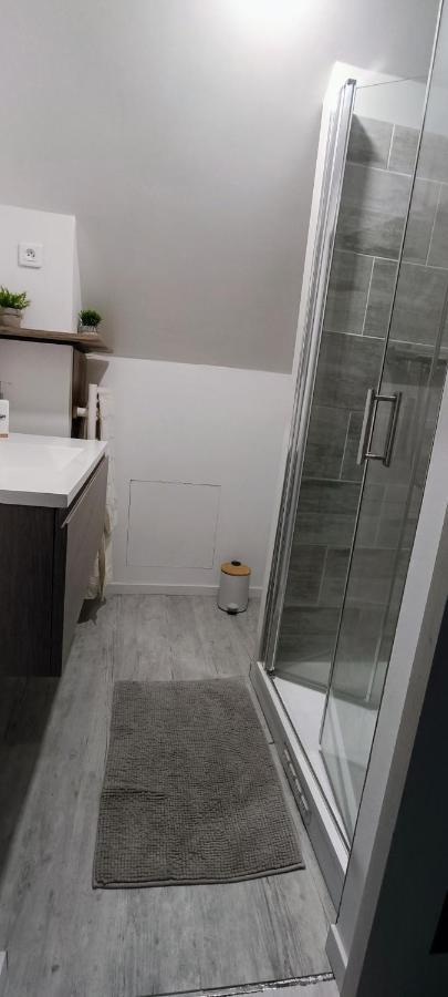 Agreable Chambre Double Avec Salle D'Eau Privative Le Mesnil-Theribus Exteriér fotografie